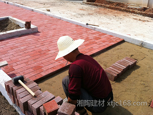 長沙動物園項目